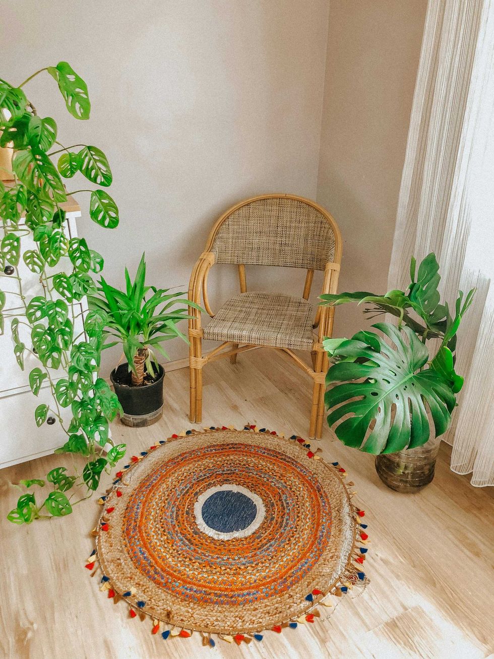 Cozy corner with a wicker chair, colorful round rug, and green plants.