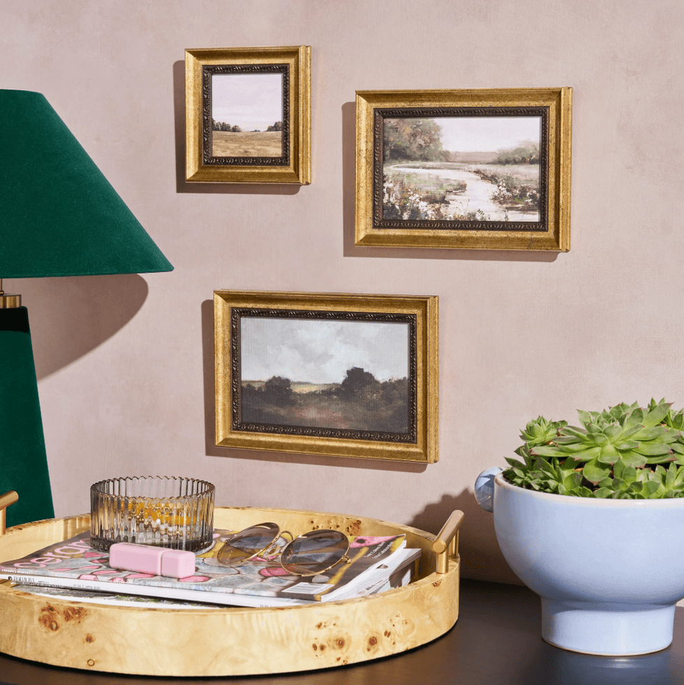 Cozy decor with framed landscape art, a green lamp, and succulents on a table.