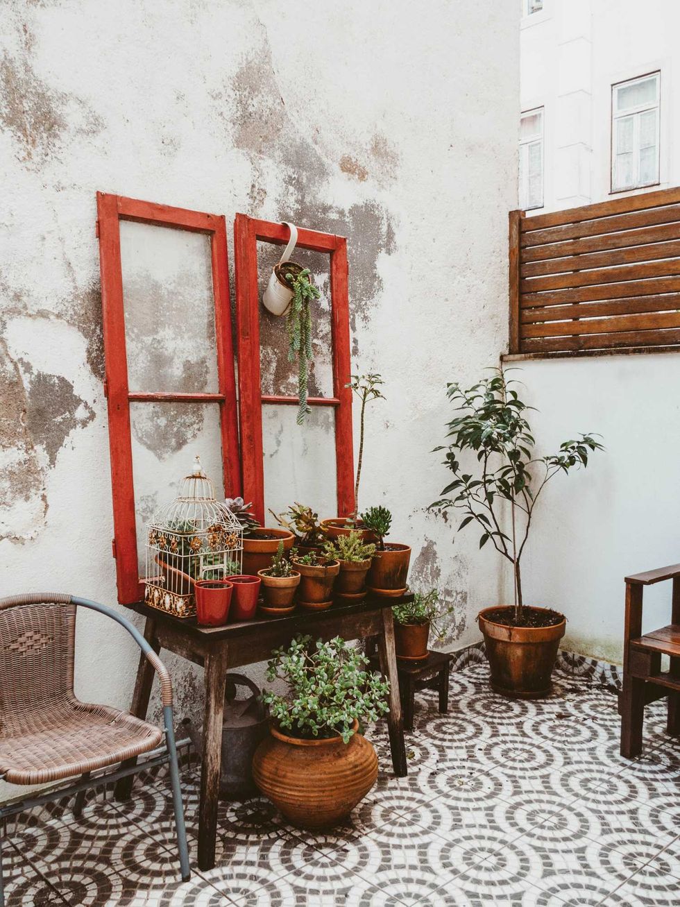 Cozy patio with potted plants, red window frames, and patterned floor tiles.