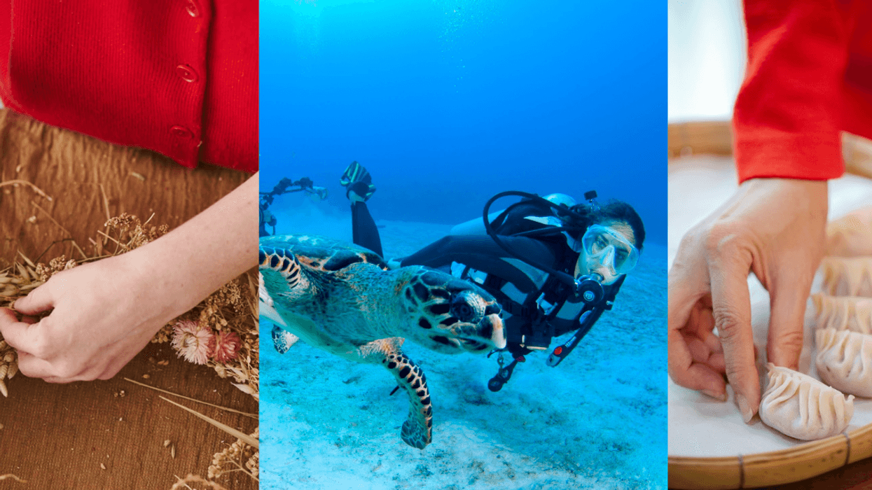 Crafting bouquet, scuba diving with turtle, and arranging dumplings on a tray.