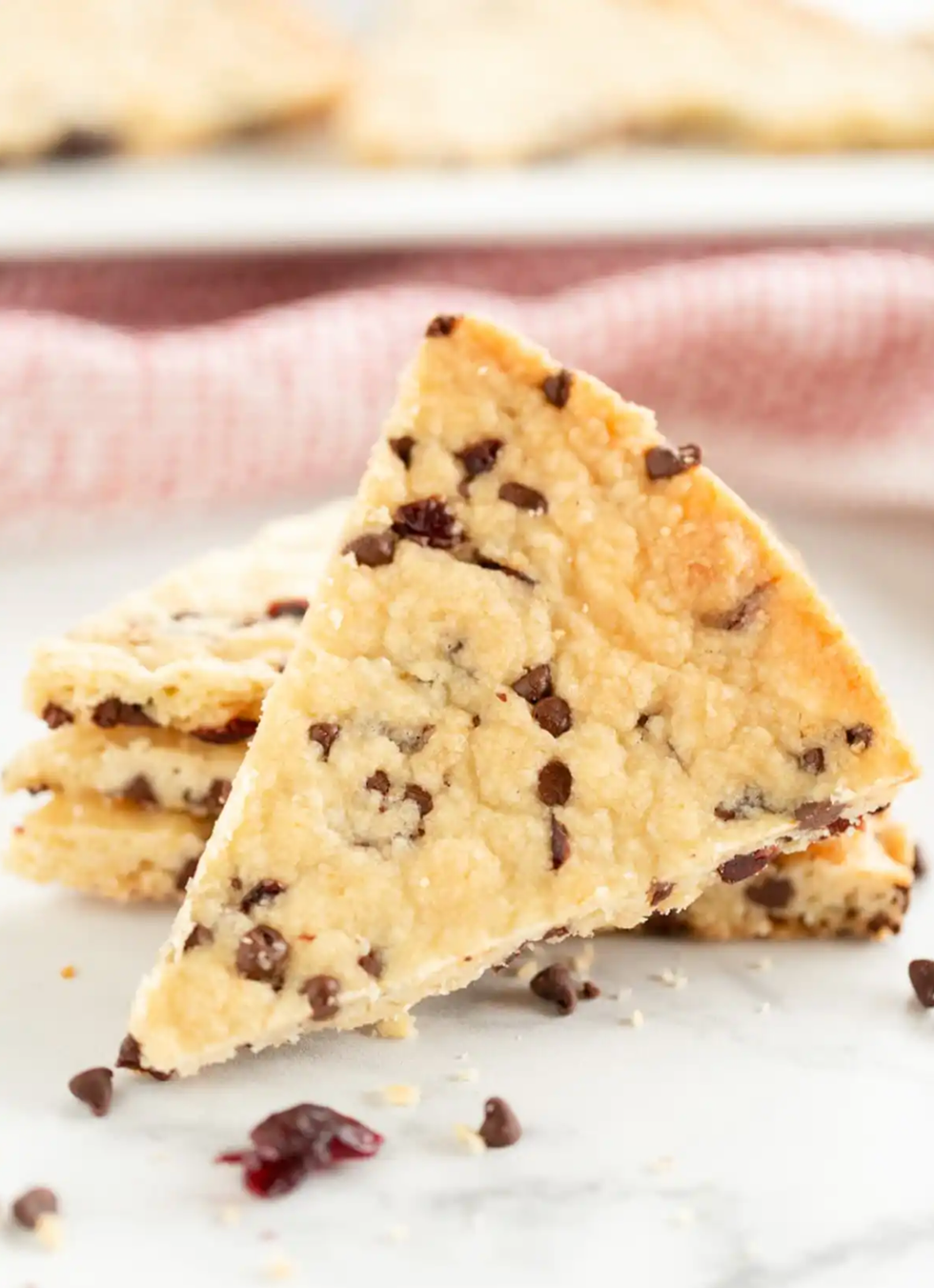 Cranberry Chocolate Chip Shortbread
