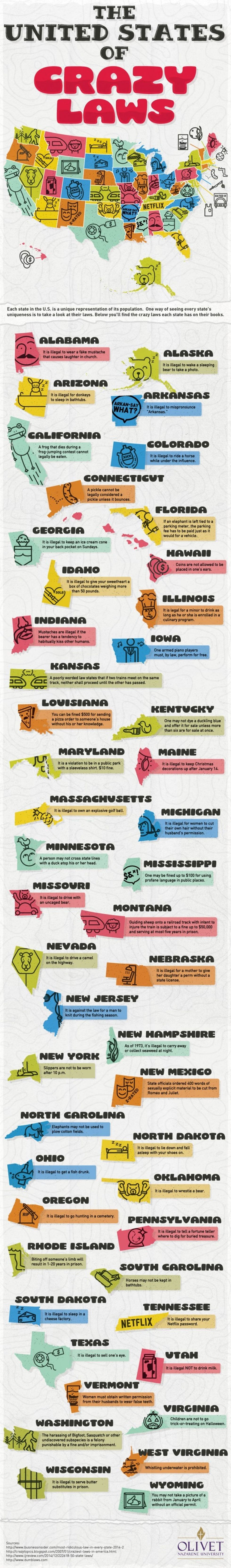 You Won’t Believe These Wacky Laws Exist in Your State Brit + Co
