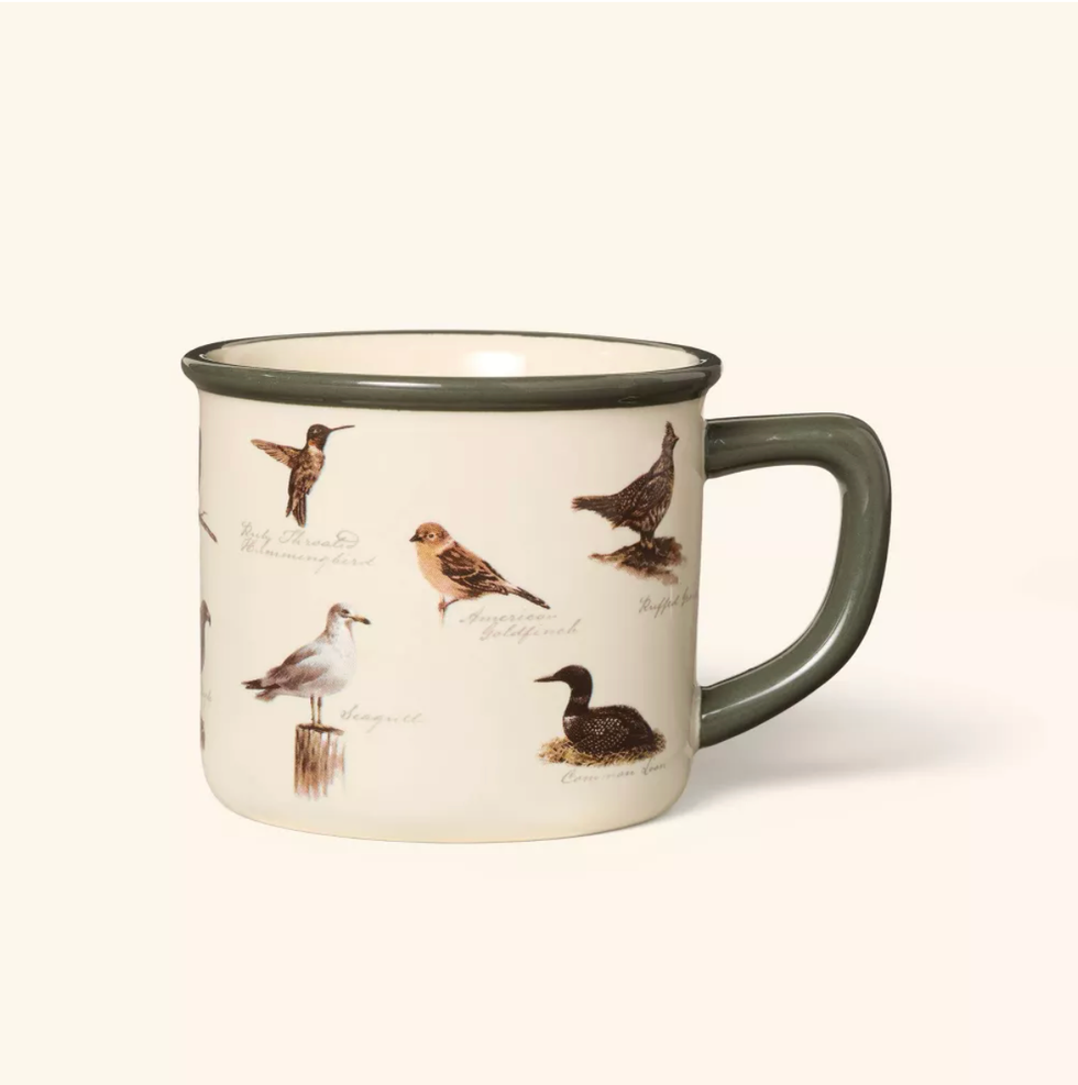 Cream mug with bird illustrations and names; green rim and handle.