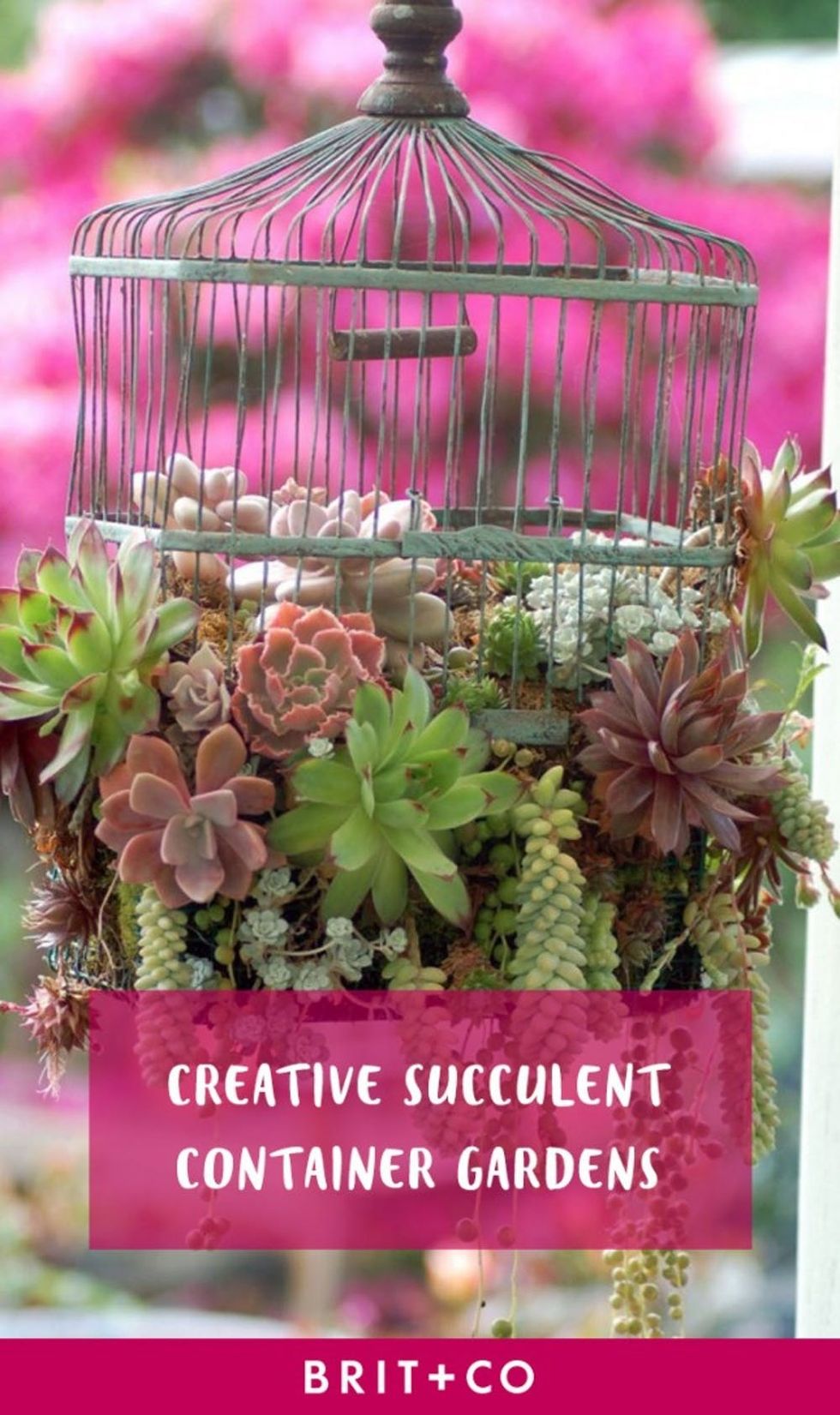 Creative-Succulent-Container-Gardens