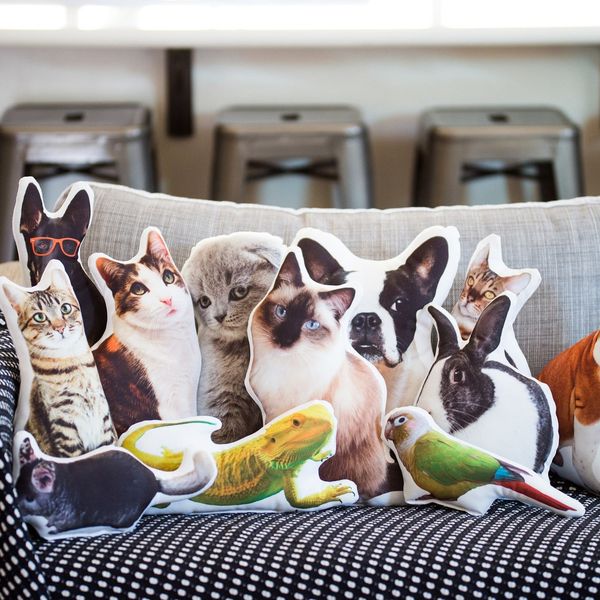 Custom Shaped Pet Pillow