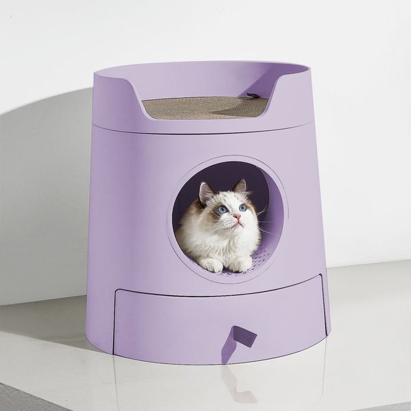 cute pet furniture for cats and dogs