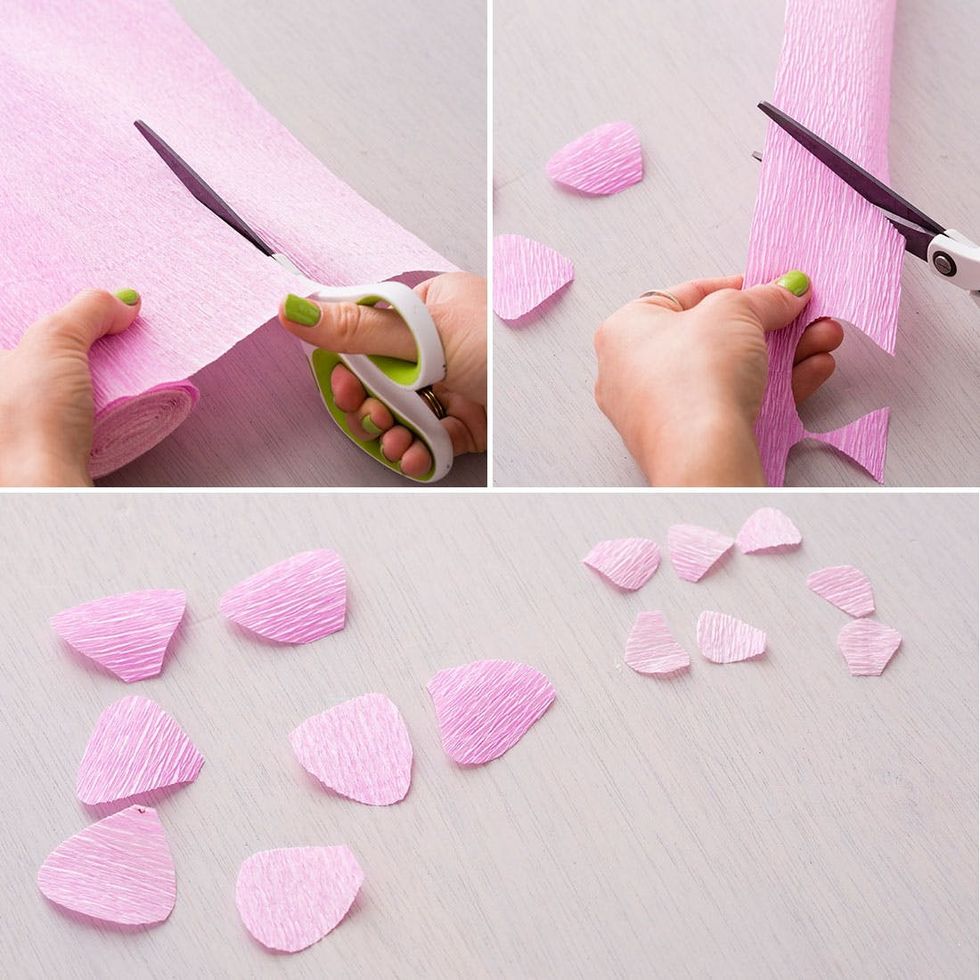 Cutting-Ranunculus-petals