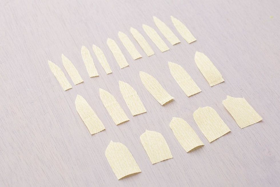 Daffodil-Petals-Group