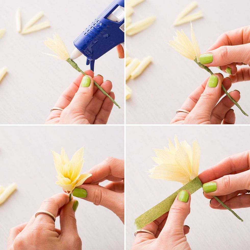 Daffodils-adding-more-petals