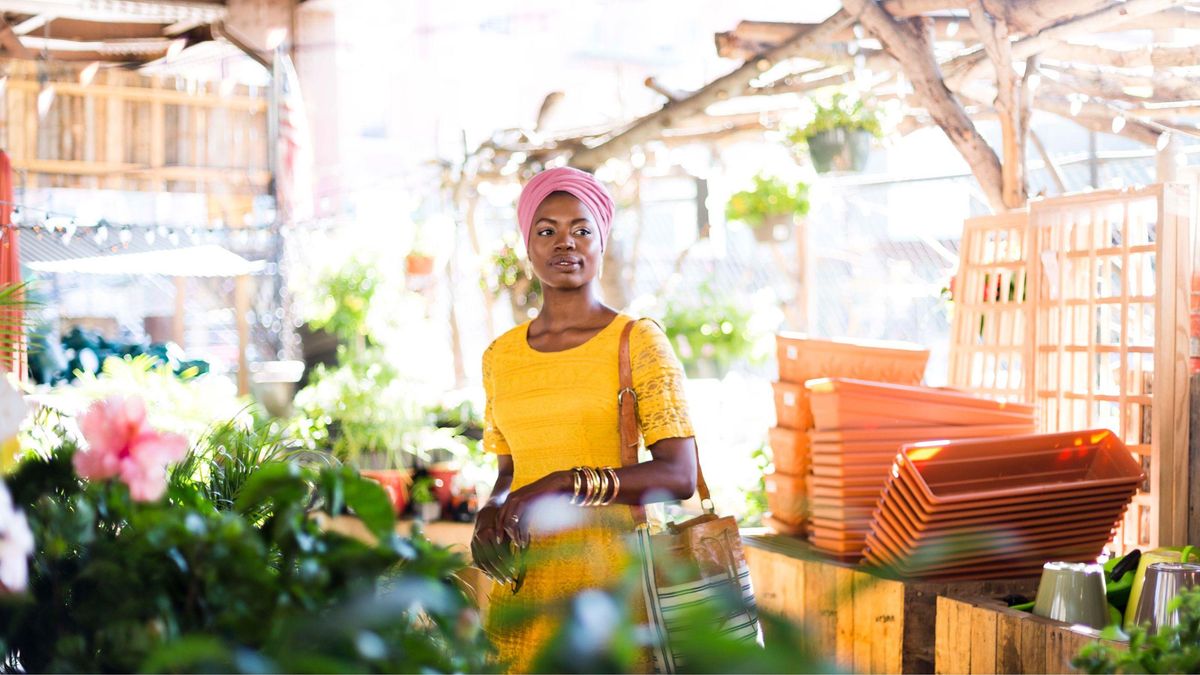 daylight savings time