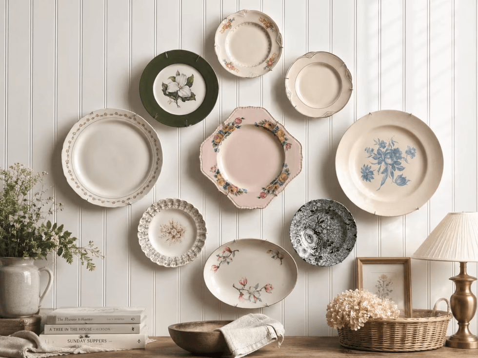 Decorative vintage plates on wall, beside books, plants, and a lamp.