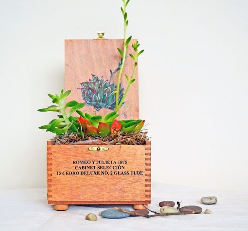 dharmakarmaarts cigar box planter