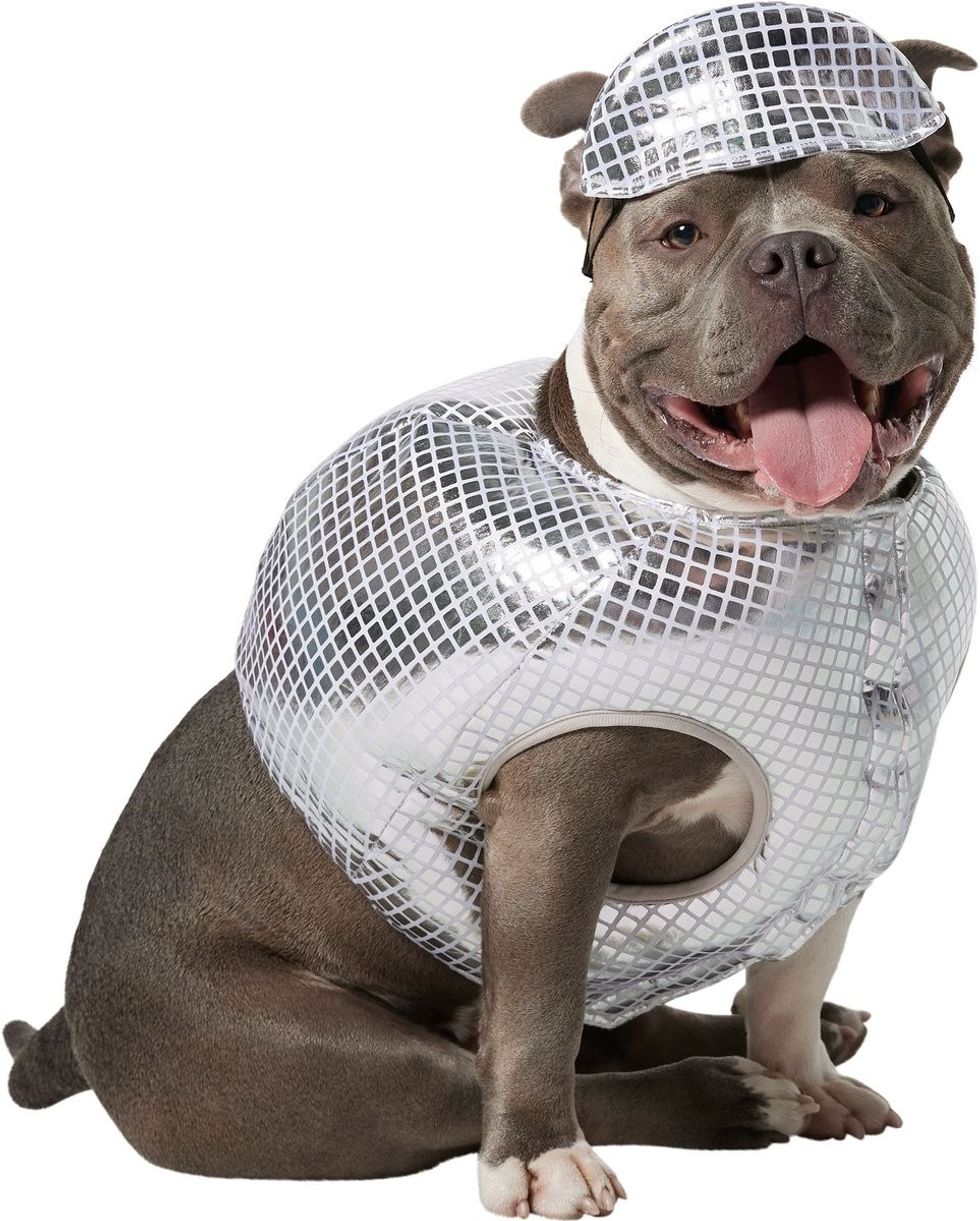 Disco Ball pet costume