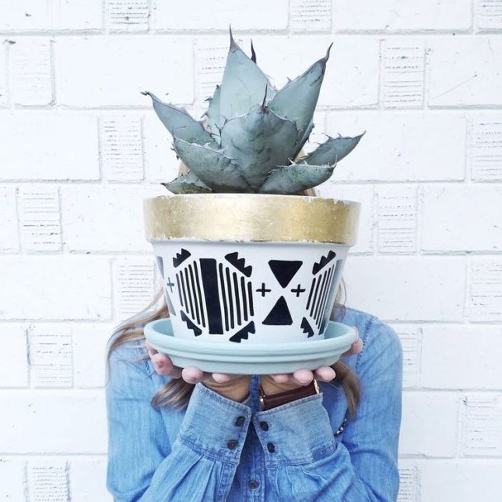 DIY Aztec Print Succulent Pots