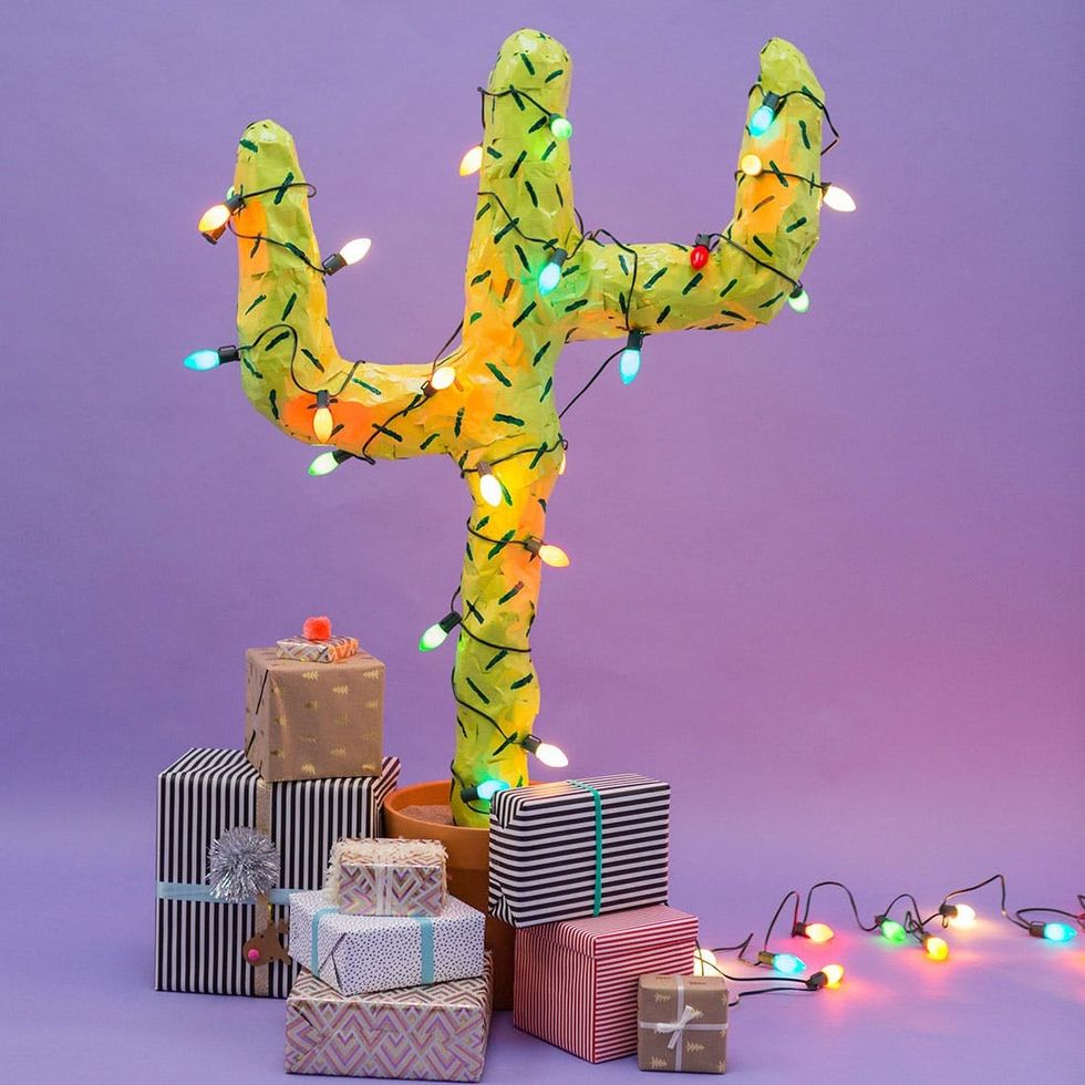 DIY Christmas Cactus