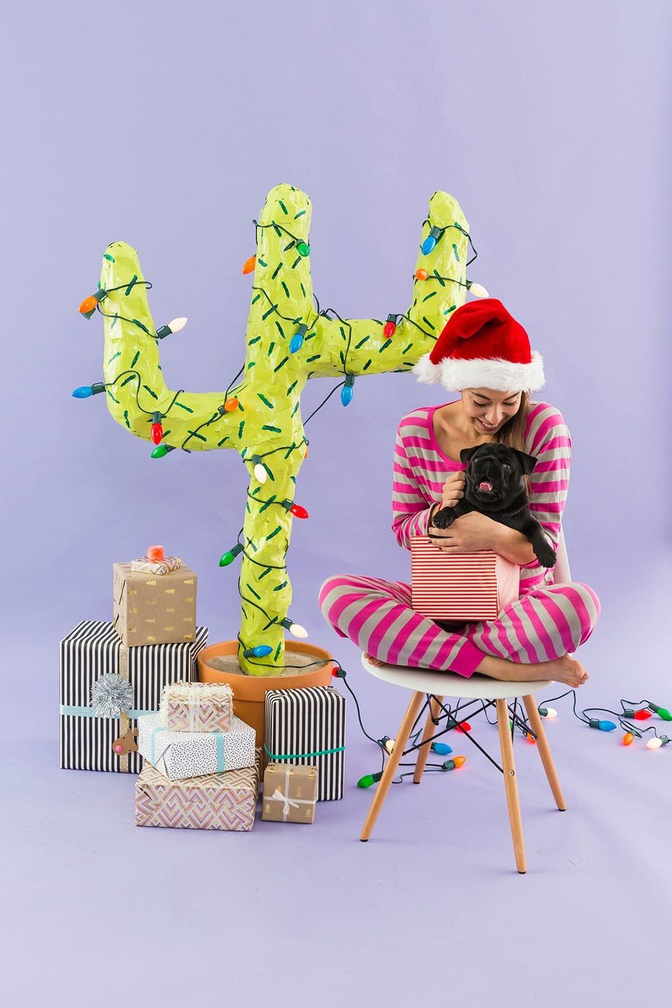 DIY Christmas Cactus