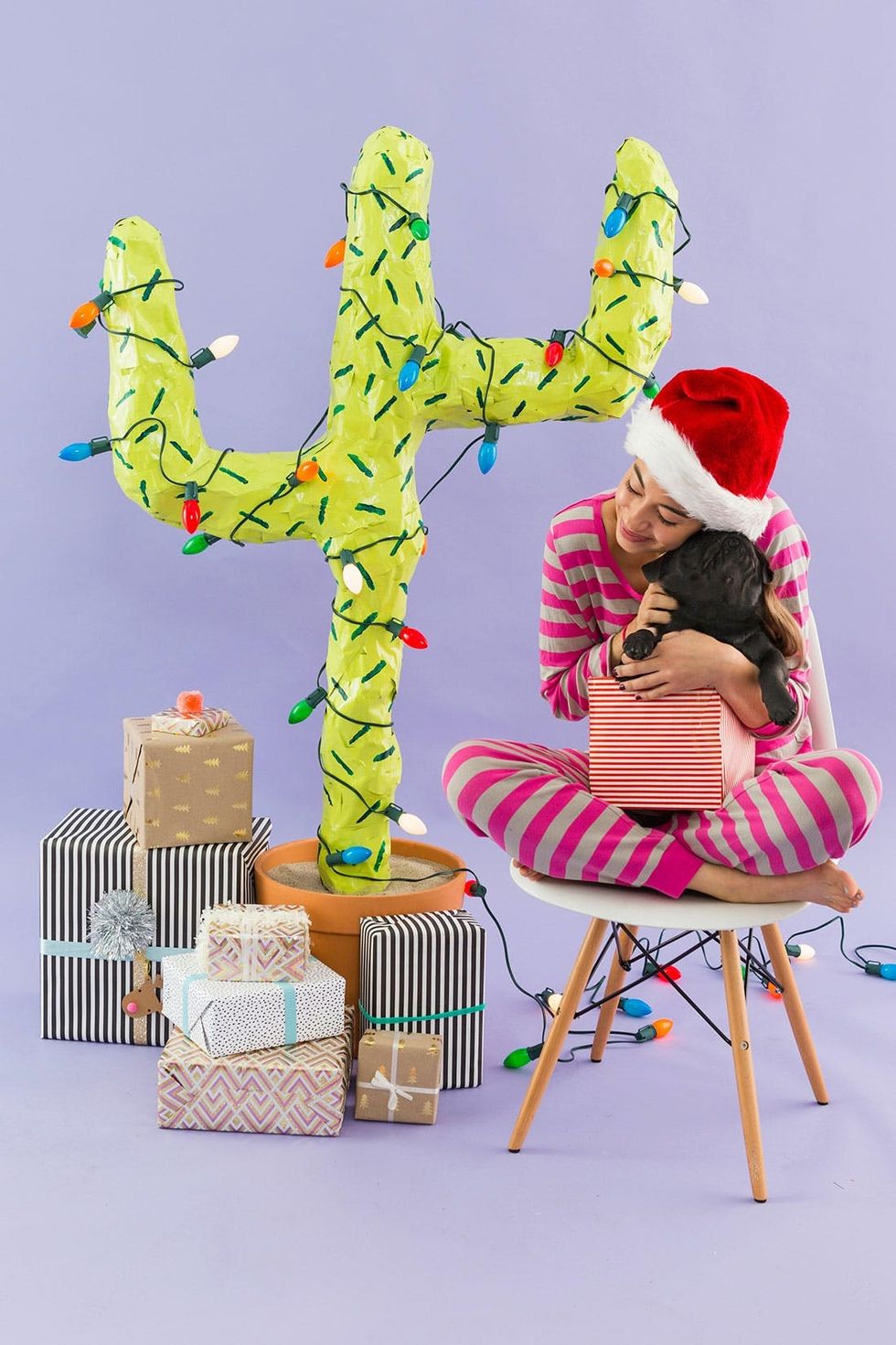 DIY Christmas Cactus