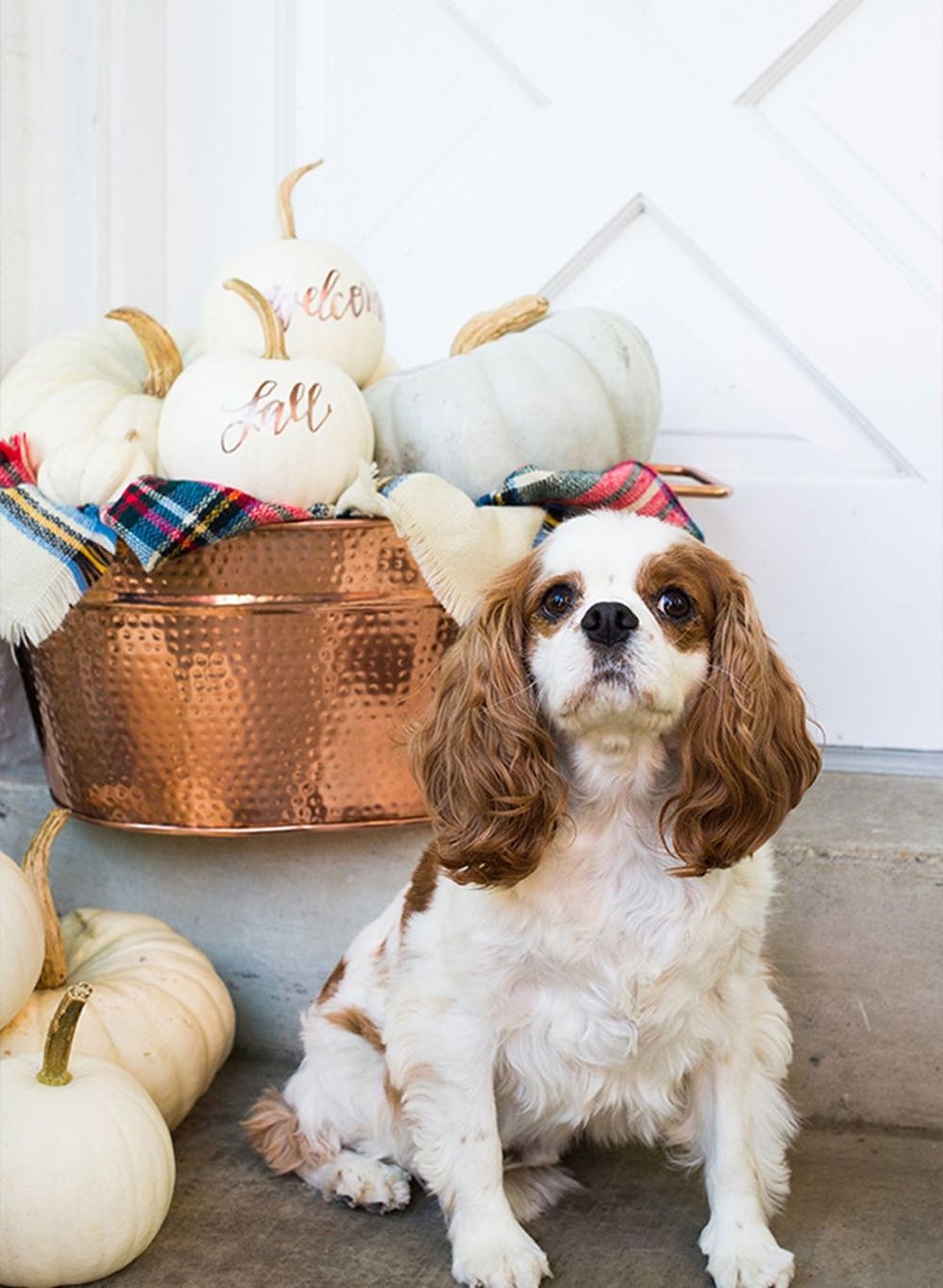 DIY Copper Cursive Pumpkins