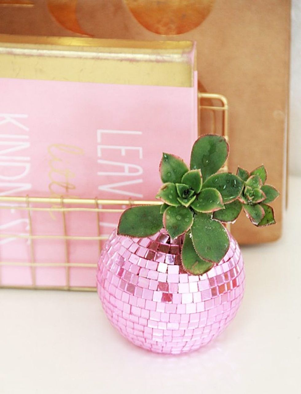 DIY Disco Ball Planters