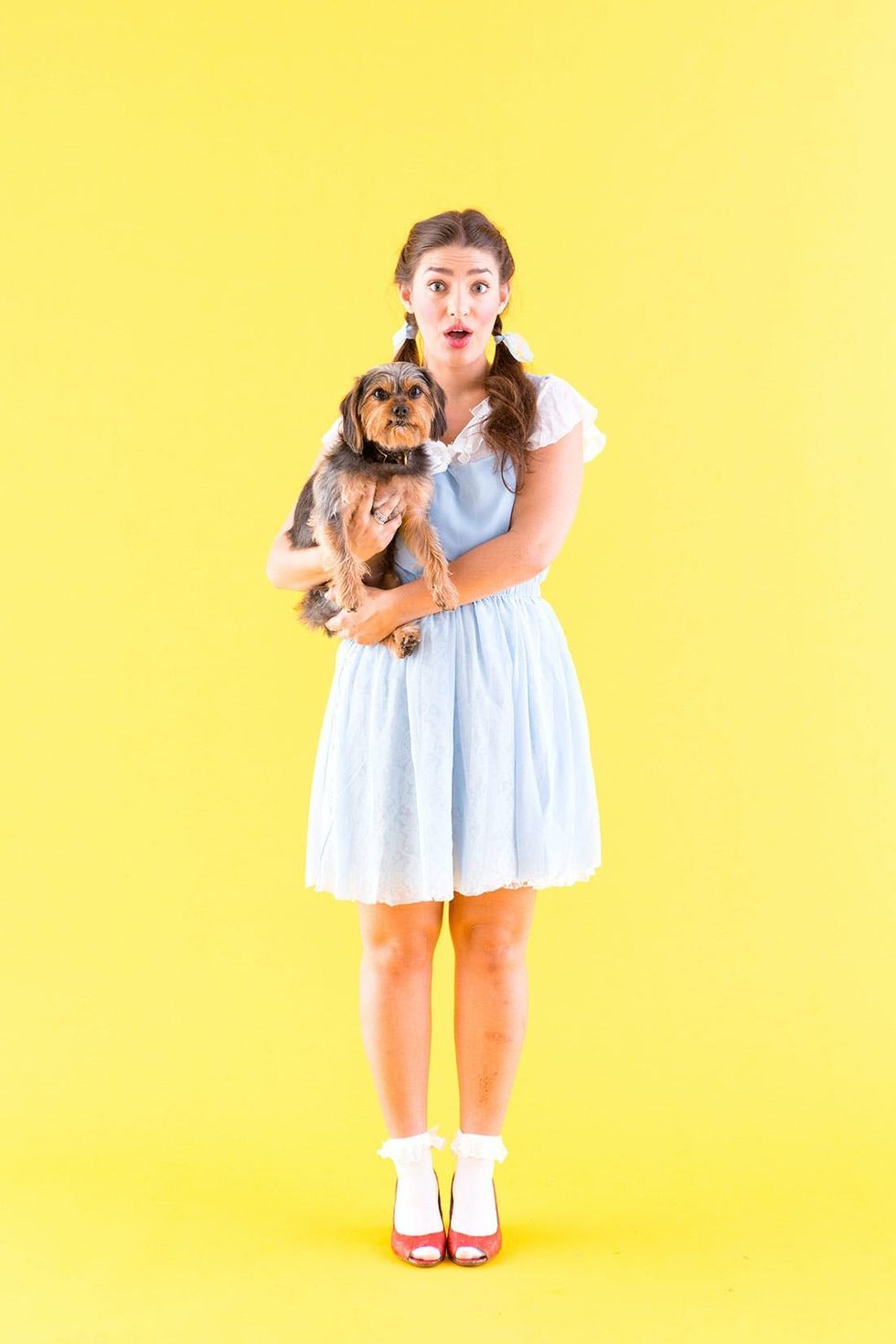 DIY Dorothy and Toto Halloween Costume