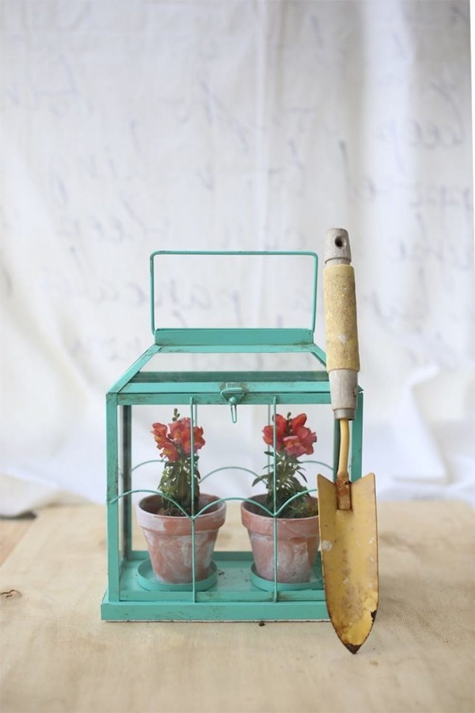 DIY Flower Terrarium
