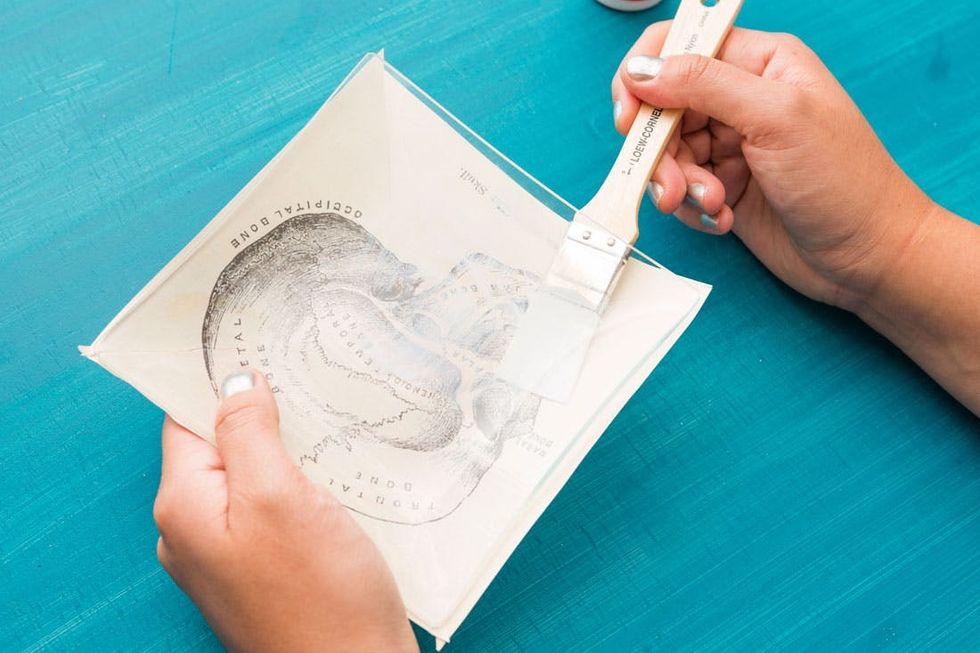 DIY Fornasetti Halloween Tray Steps