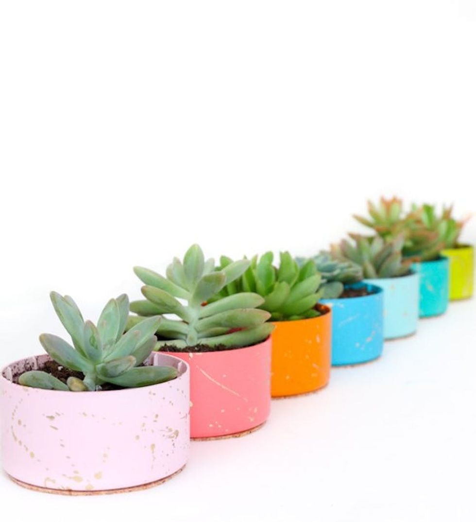DIY Gold Splatter Succulent Planters