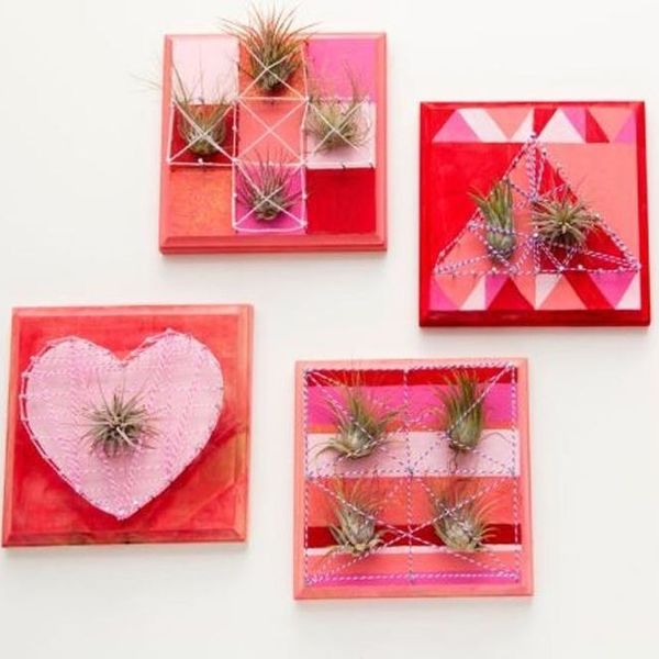 DIY Party With Planters