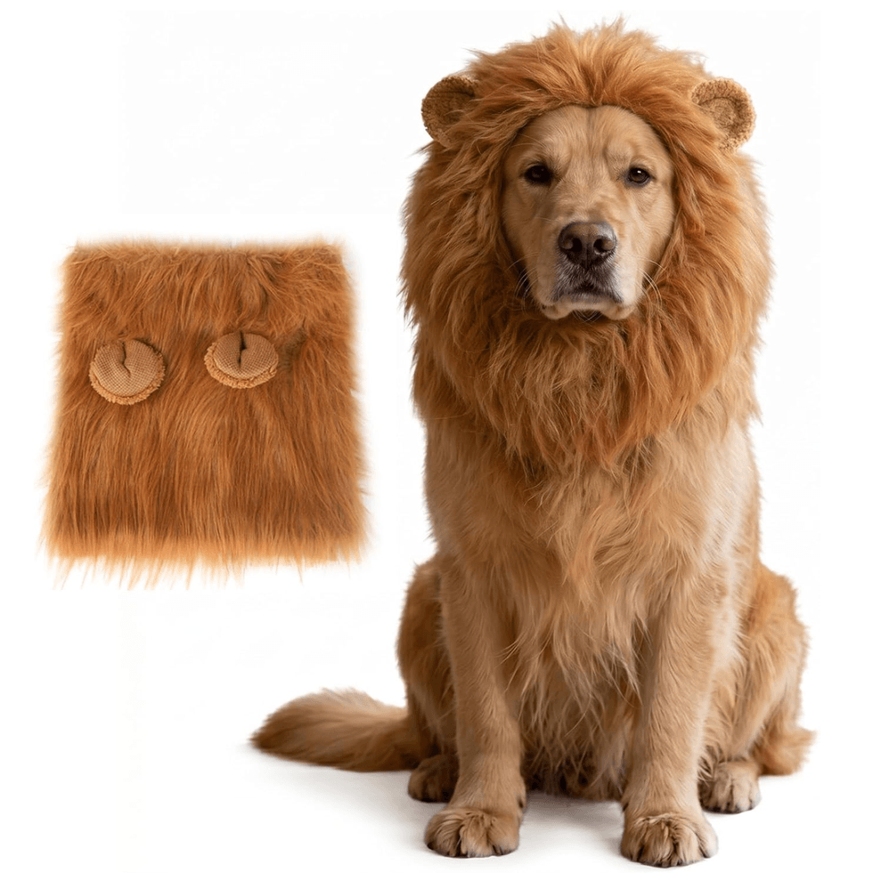 Dog in lion costume with mane and ears, with matching dog hat nearby.