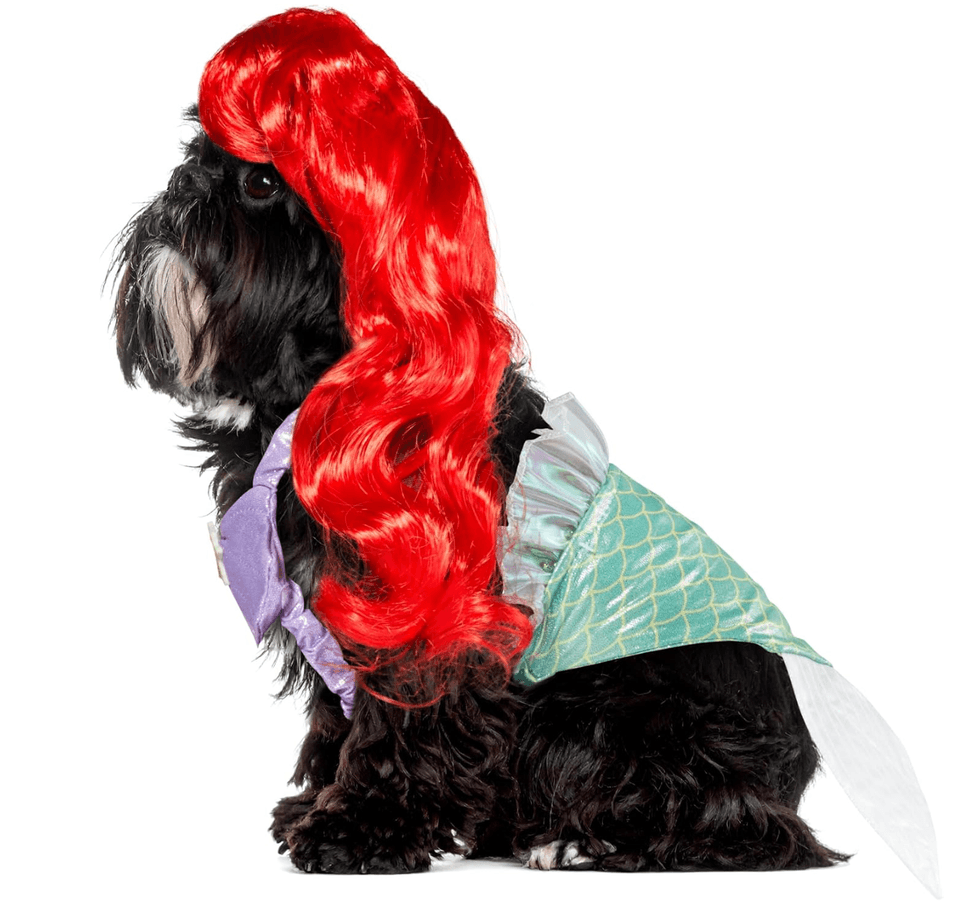 Dog in mermaid costume with red wig and green tail, sitting in profile.