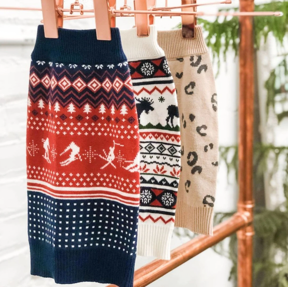 Dog Threads The Great Yukon Sweater for Pups + People