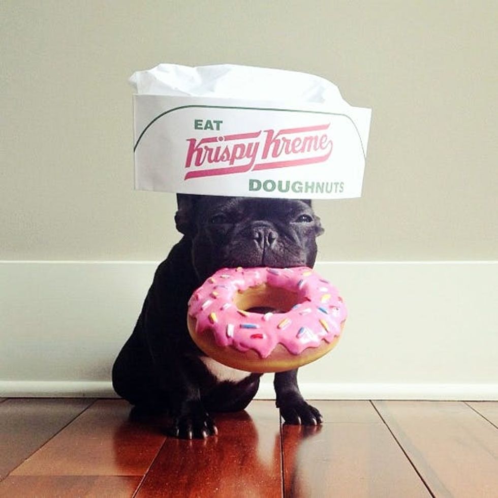 donut costume