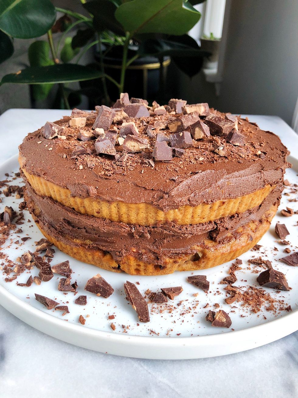 Double Layer Banana Chocolate Chip Cake