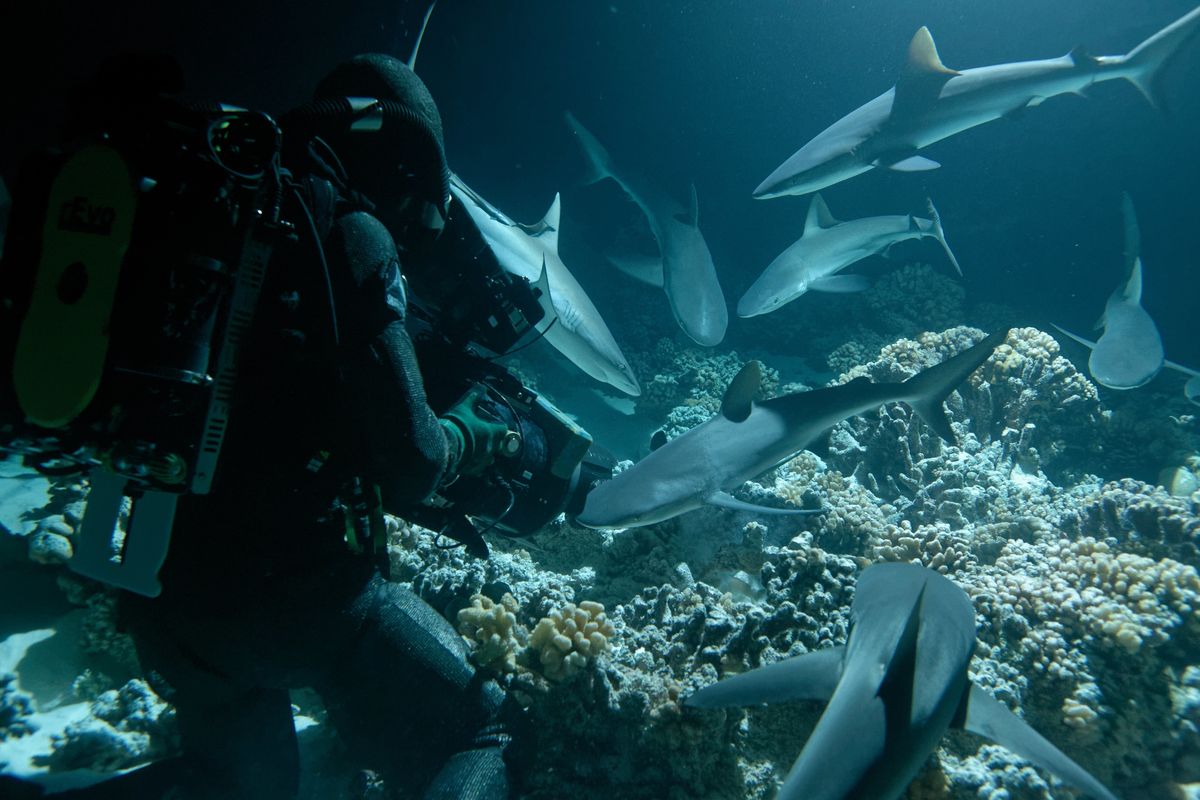 earth day environmental documentaries