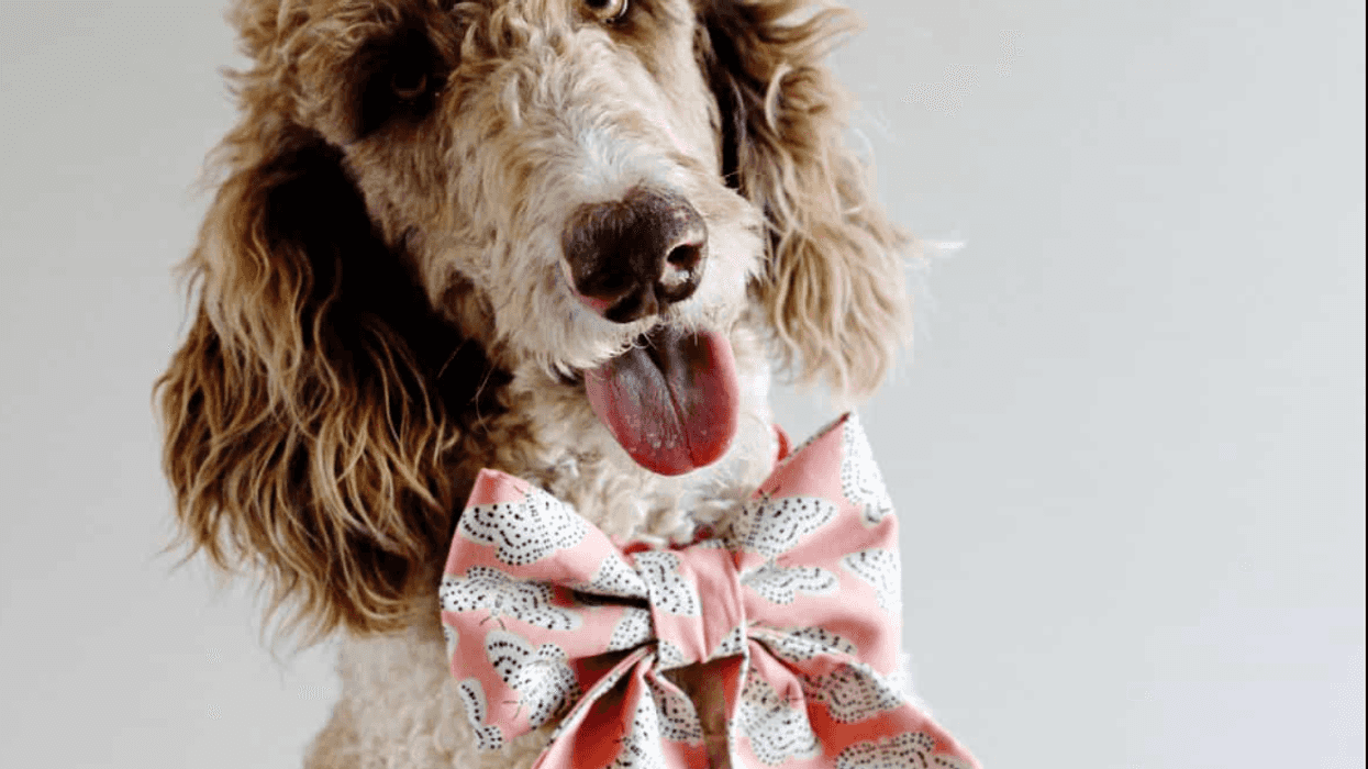 easy sewing projects