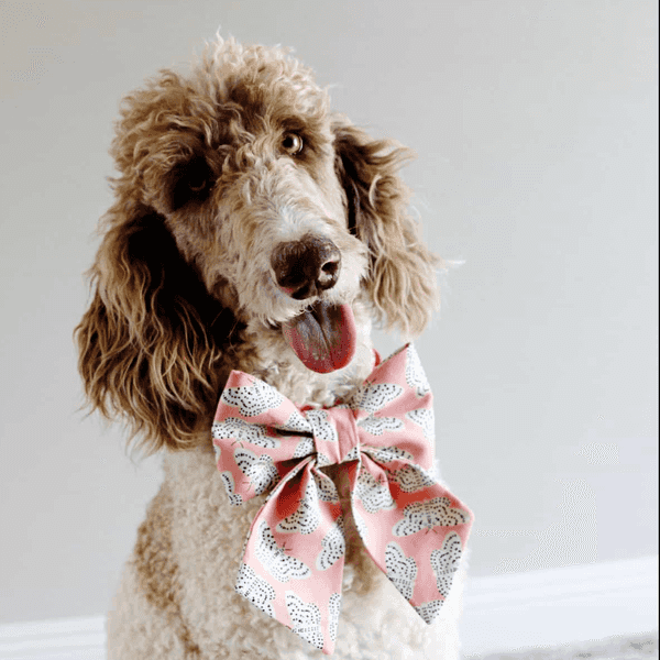 easy sewing projects