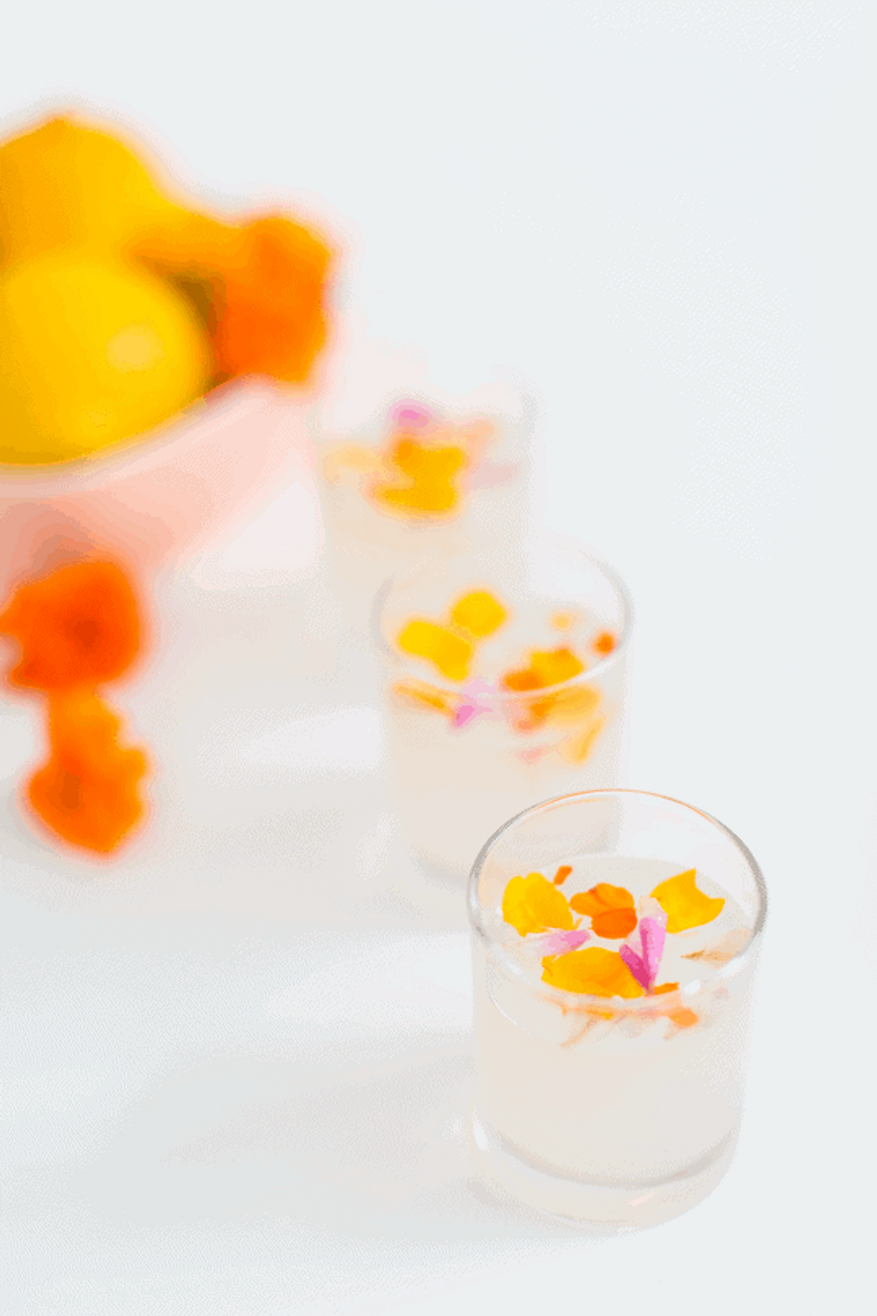 Edible Flower Lemon Jello Shots
