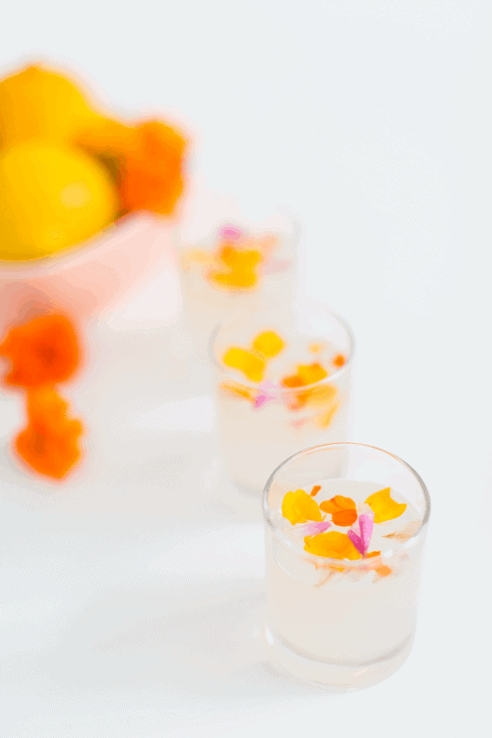 Edible Flower Lemon Jello Shots