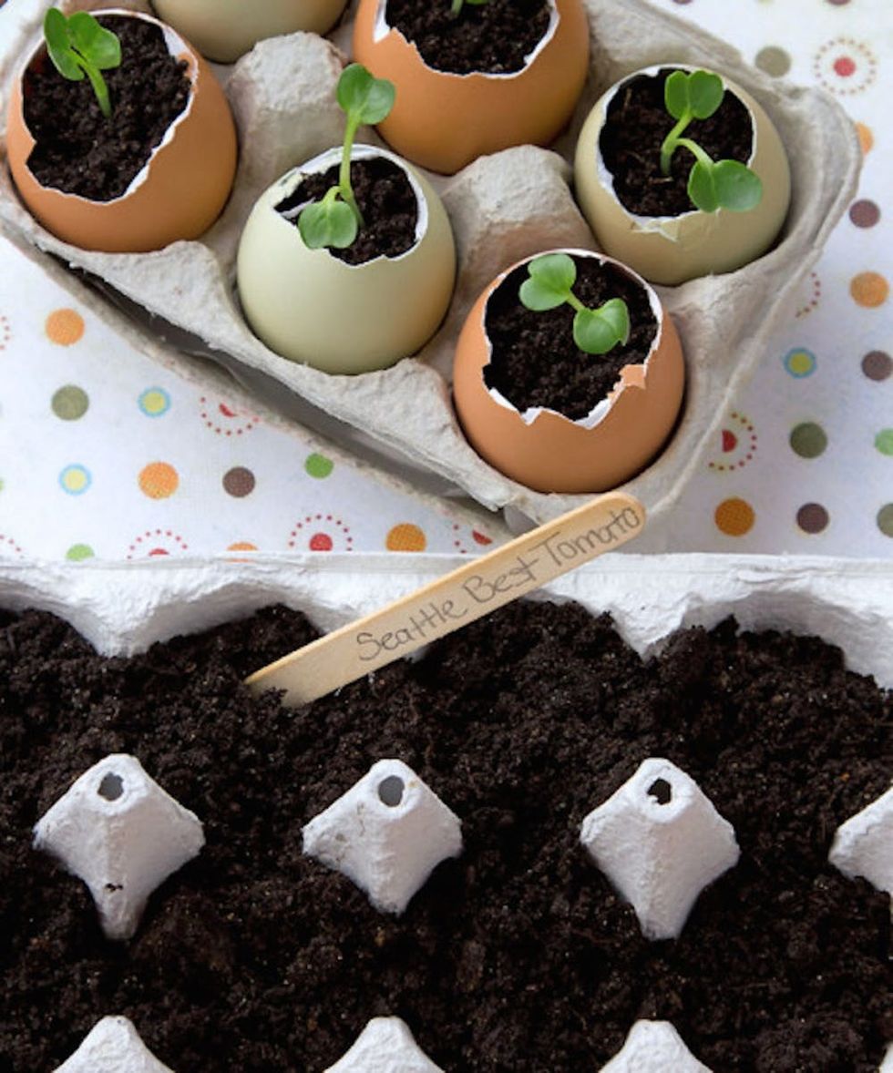 Egg Shell Seed Pots Easter Craft for Kids