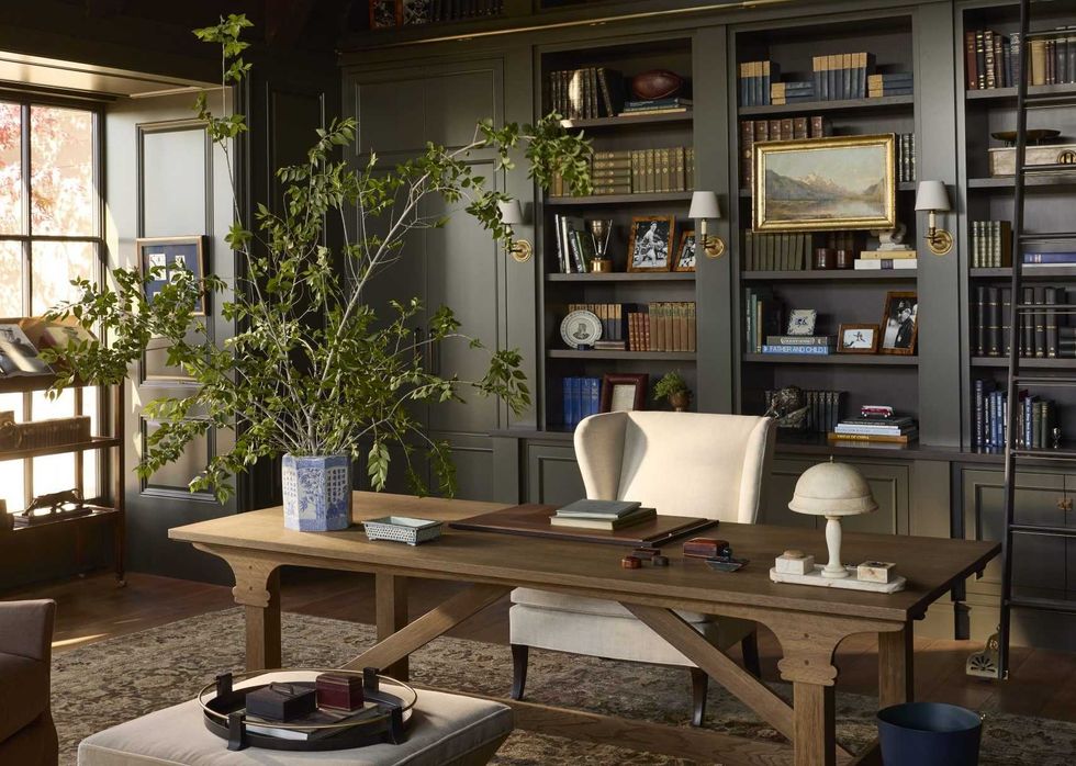 Elegant home office with wooden desk, bookshelves, and a large leafy plant by the window.