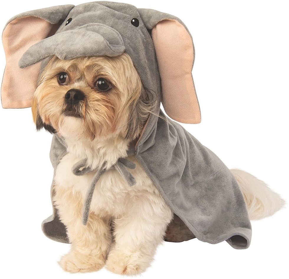 elephant pet costume