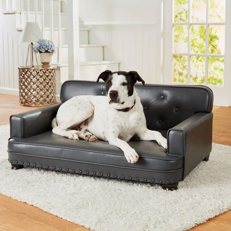 30 Pet Beds That Won T Ruin Your Home