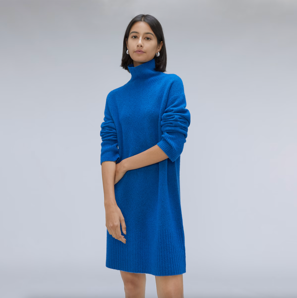 everlane bright blue turtleneck sweater dress
