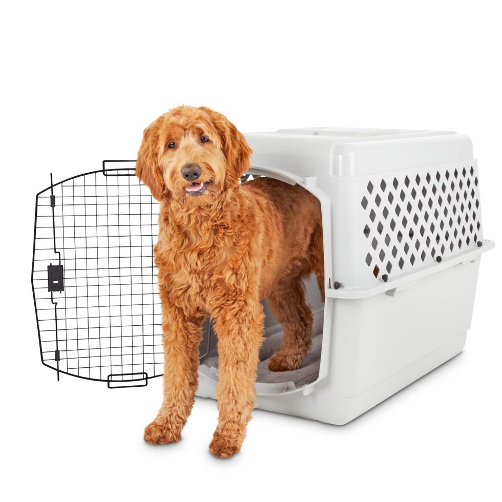 EveryYay Classic Going Places Pet Kennel