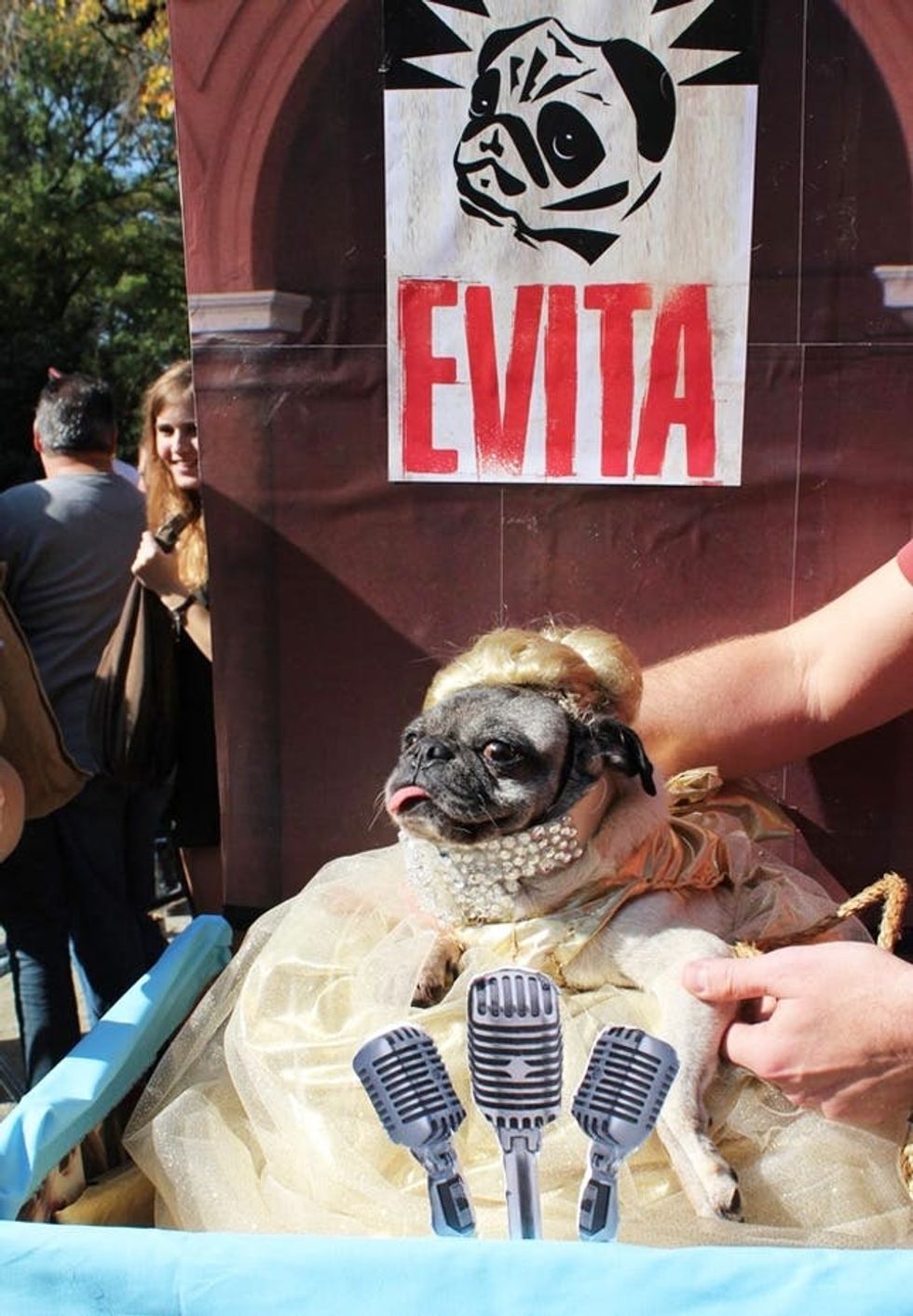 evita dog