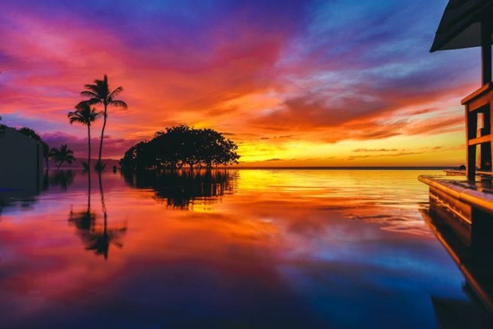 exoticelope04-645x430