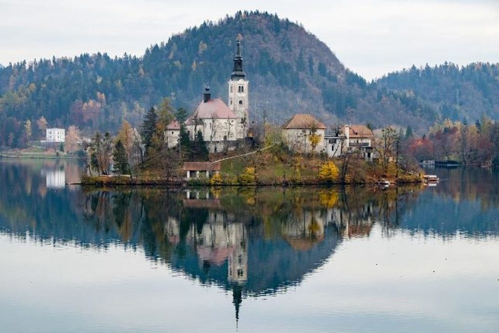 exoticelope07-645x430