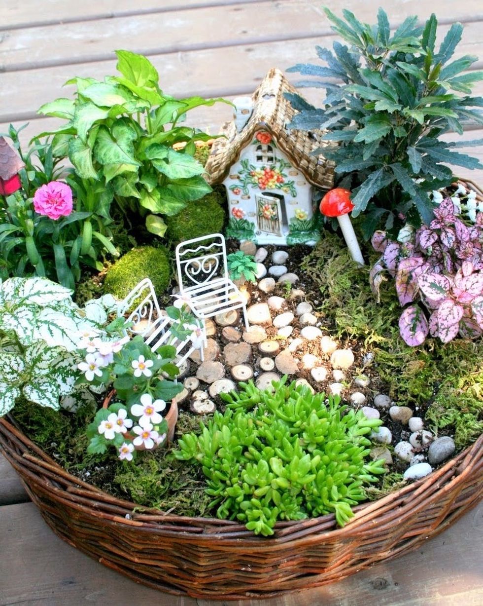 These Fairy Gardens Will Add Some Major Magic to Your Home Brit + Co