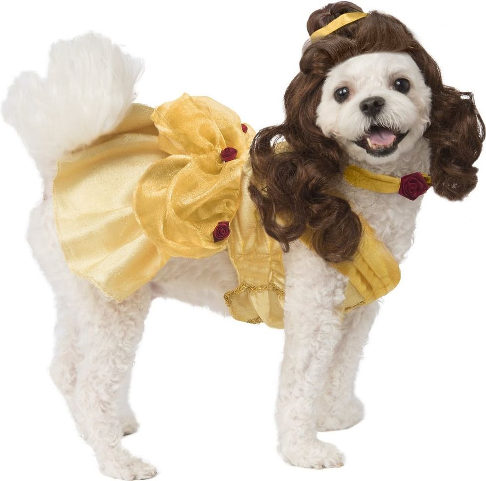 81 of the Best Dog Halloween Costume Ideas for Your Pooch Brit + Co