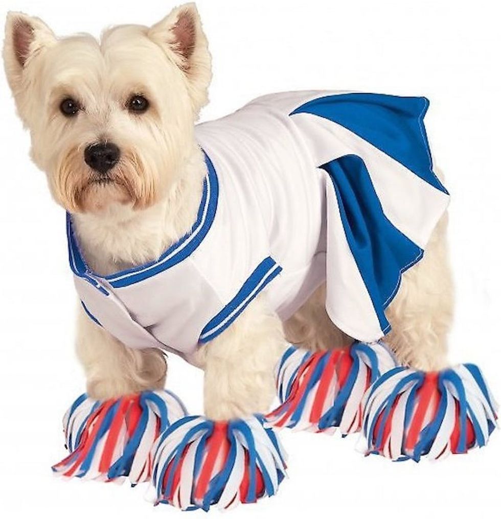 81 of the Best Dog Halloween Costume Ideas for Your Pooch Brit + Co